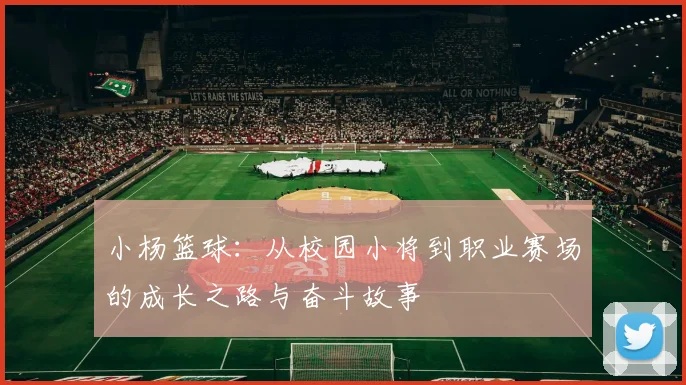 小杨篮球：从校园小将到职业赛场的成长之路与奋斗故事